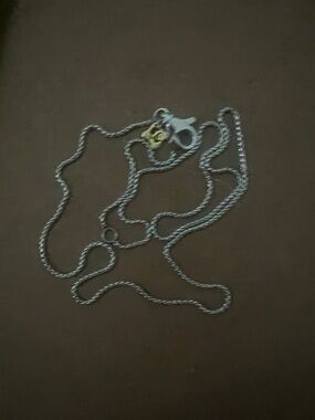 David Yurman Silver Rope Chain Necklace with Gold Accent